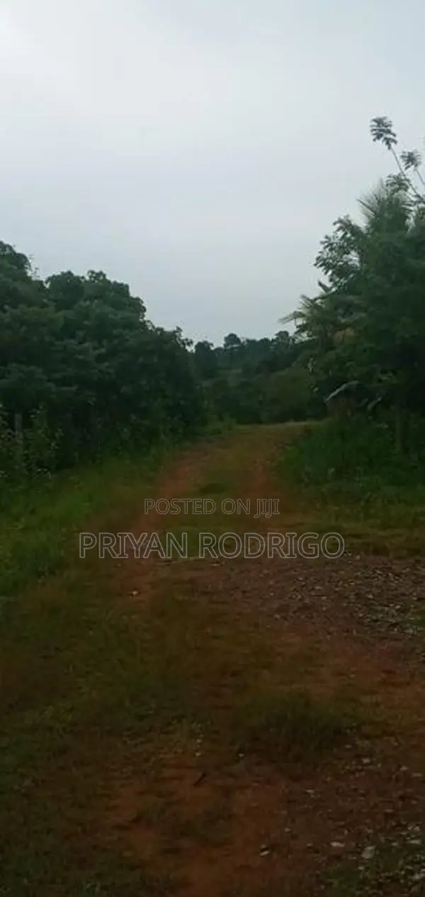 Malwana - Udumapitagama 520 Perch Land for Sale
