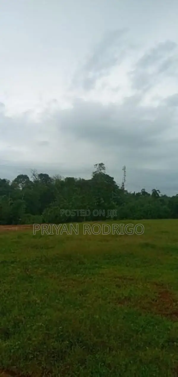 Malwana - Udumapitagama 3.25 Acres of Commercial Land for Sale