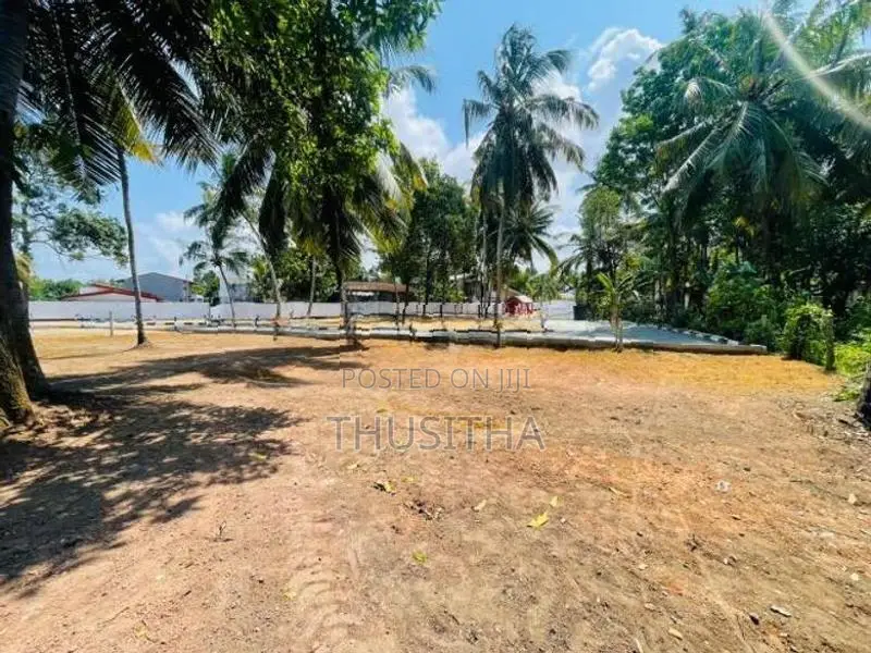 Precious Land Plot for Sale in Wattala Mahabage