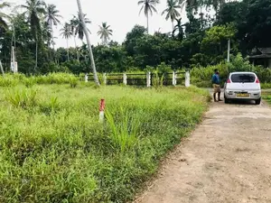 Land - Naiwela
