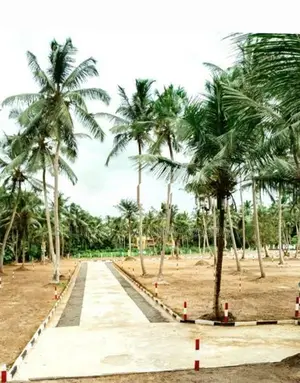 Land for Sale - Veyangoda