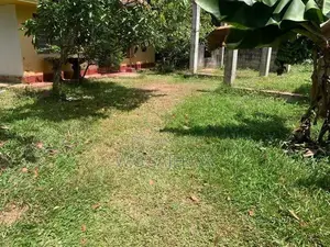 Valuable Land with house for sale in Matara , Kamburupitiya