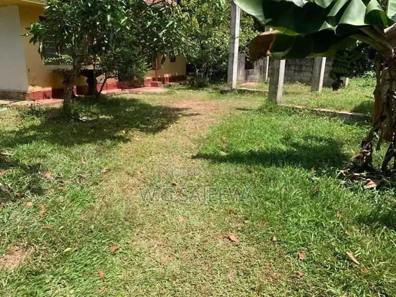 Valuable Land with house for sale in Matara , Kamburupitiya