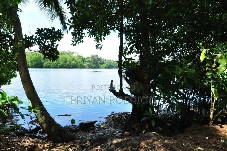 70 Perch Long River Frontage Prime Land for Sale in Hikkaduwa