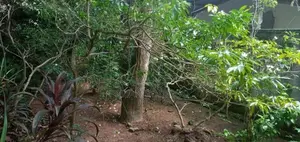 Piliyandala, Wewala, 12.9 Perches of Residential Land for Sale