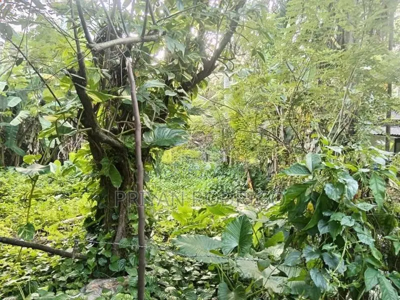14 Perch Diyawanna Lake Front Land on Nippon Mw- Ethul Kotte for Sale