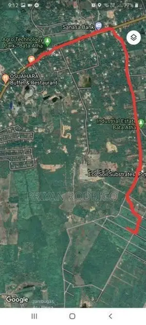 40 Perch Land with Teak Plantation in Bata Atha, Tangalle.