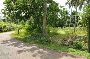 70 Perch Long River Frontage Prime Land for Sale in Hikkaduwa