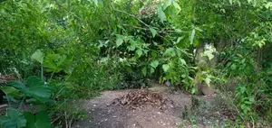 Piliyandala, Wewala, 12.9 Perches of Residential Land for Sale