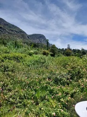 Haggala Gardens, 16 Perches of Land for Sale