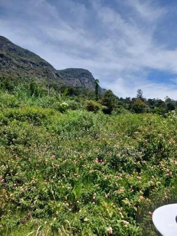 Haggala Gardens, 16 Perches of Land for Sale
