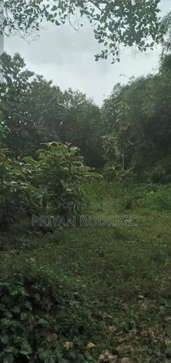 Malwana - Udumapitigama 226 Perches of Land for Sale