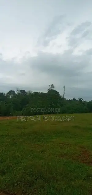 Malwana - Udumapitagama 520 Perch Land for Sale