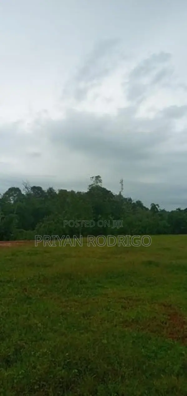Malwana - Udumapitagama 3.25 Acres of Commercial Land for Sale