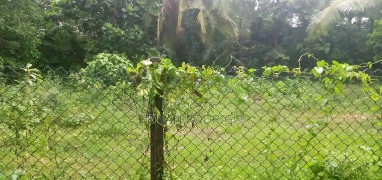 Malabe -Chandrika Kumaratunga Mawatha 44 Perch Land for Sale