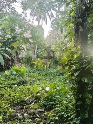 14 Perch Diyawanna Lake Front Land on Nippon Mw- Ethul Kotte for Sale