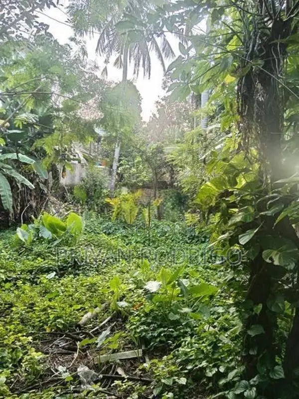 14 Perch Diyawanna Lake Front Land on Nippon Mw- Ethul Kotte for Sale