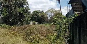 Prime 72 Perches Commercial Land for Sale on Main Road, Valachchenai