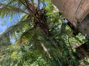 House with valuable Land for sale in Matara , Kamburupitiya