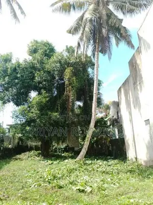 18.6 Perch Land for Sale on Ananda Balika Mawatha, Pita Kotte