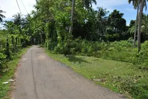 70 Perch Long River Frontage Prime Land for Sale in Hikkaduwa