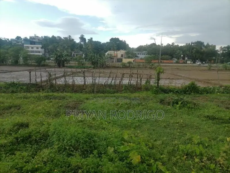 40 Perch Square Land for Sale at Madiwela, Kotte