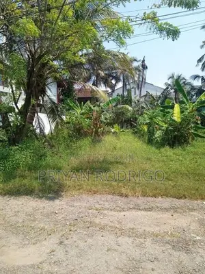 Dehiwala, Kalubowila, De Alwis Avenue 19 Perch Land for Sale