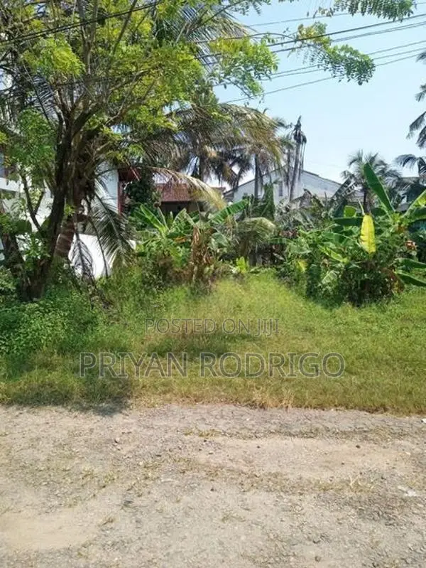 Dehiwala, Kalubowila, De Alwis Avenue 19 Perch Land for Sale