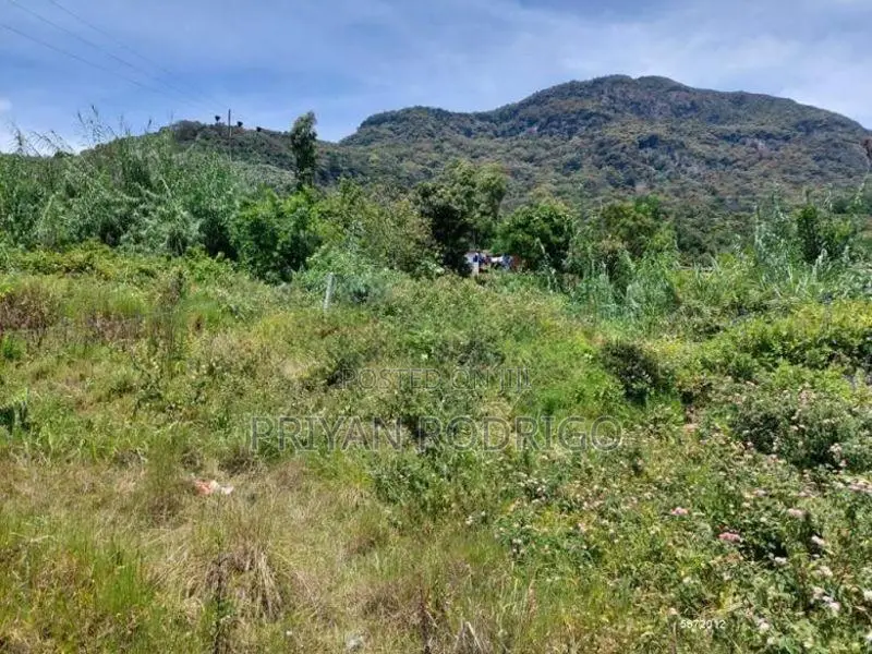 Haggala Gardens, 16 Perches of Land for Sale