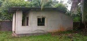 Malwana - Udumapitigama 226 Perches of Commercial Land for Sale