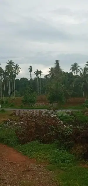Malwana - Udumapitagama 3.25 Acres of Commercial Land for Sale