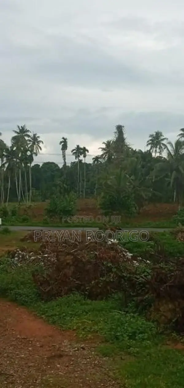 Malwana - Udumapitagama 3.25 Acres of Commercial Land for Sale