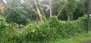 Malabe -Chandrika Kumaratunga Mawatha 44 Perch Land for Sale