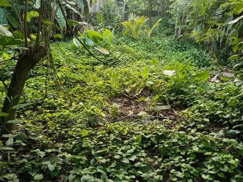 14 Perch Diyawanna Lake Front Land on Nippon Mw- Ethul Kotte for Sale