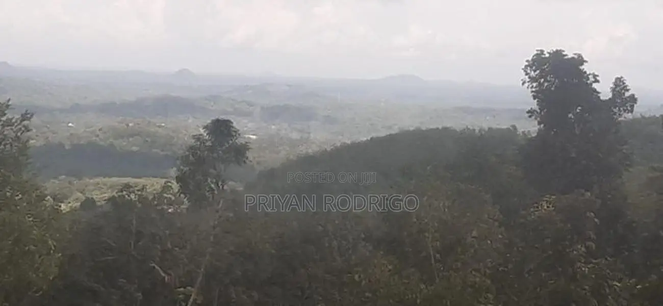 Nelumdeniya - Tholangamuwa 17 Acre Estate with Mixed Crops for Sale