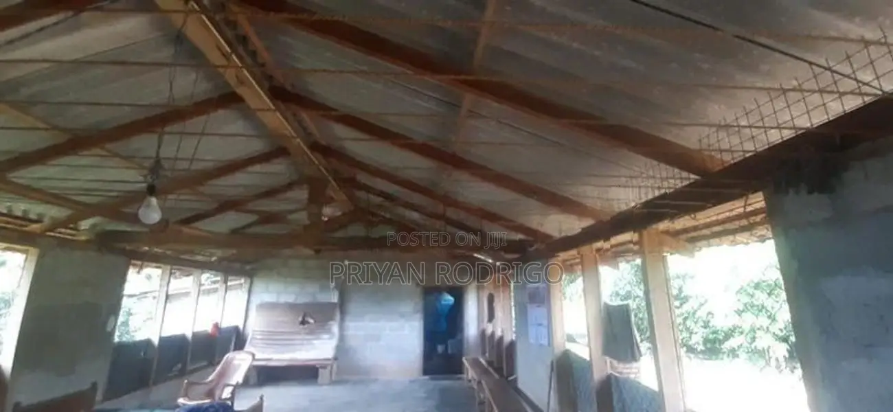 Nelumdeniya - Tholangamuwa 17 Acre Estate with Mixed Crops for Sale