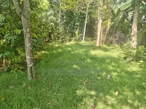 Kotte Sri Jayawardenapura 36 Perch Residential Land for Sale