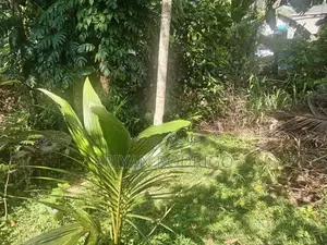 Kotte Sri Jayawardenapura 36 Perch Residential Land for Sale