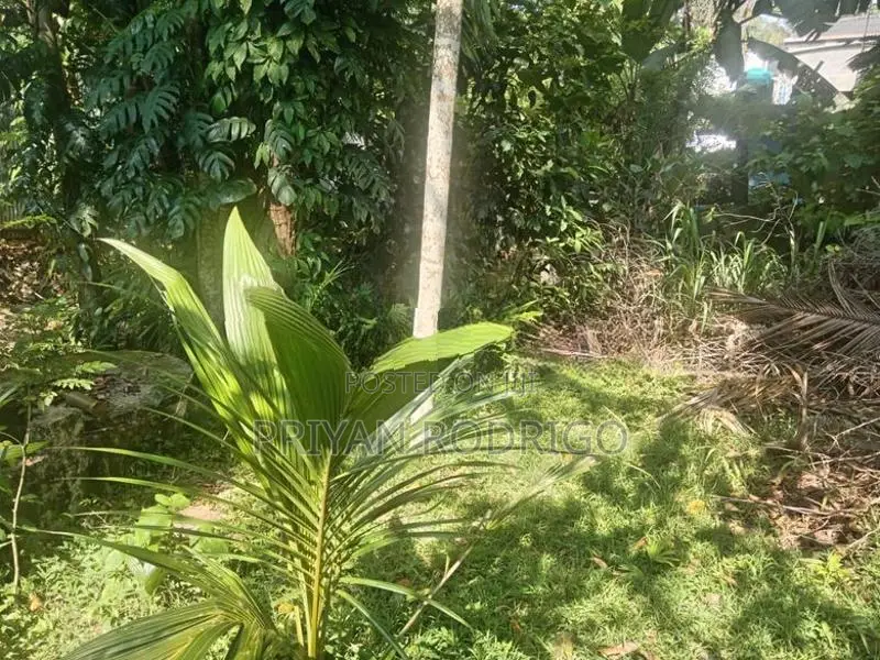 Kotte Sri Jayawardenapura 36 Perch Residential Land for Sale