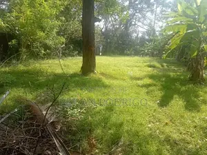 Kotte Sri Jayawardenapura 36 Perch Residential Land for Sale