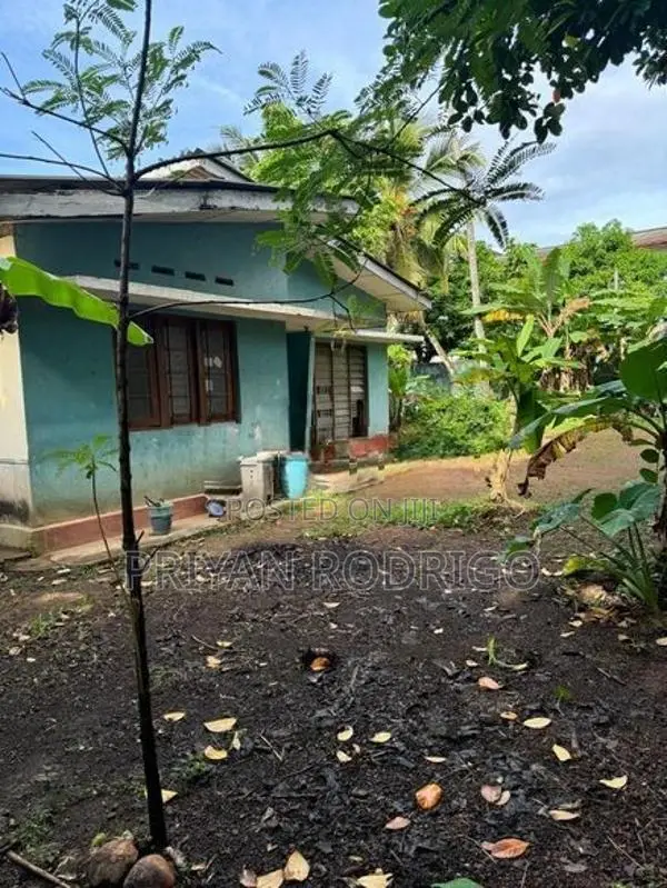 Nugegoda Wijerama 42 Perch Land with House for Sale
