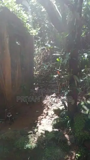 Yatiyantota, 20.7 Perch Land with Old liveable House for Sale
