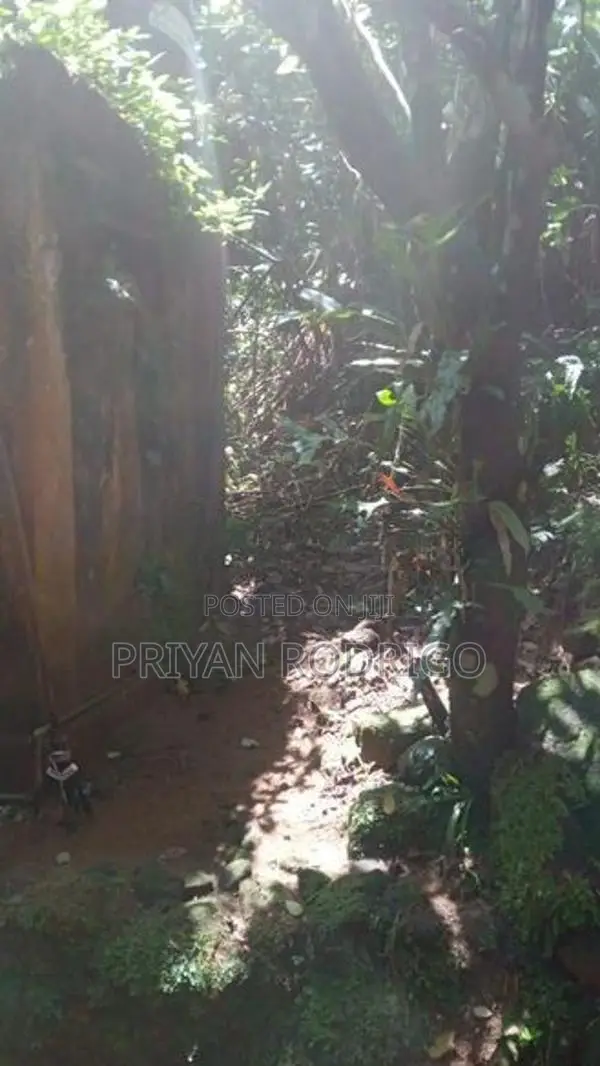 Yatiyantota, 20.7 Perch Land with Old liveable House for Sale