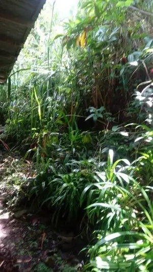 Yatiyantota, 20.7 Perch Land with Old liveable House for Sale