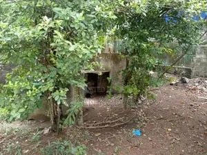 Nugegoda - Wijerama 15 Perches of Land with a Large Old House for Sale