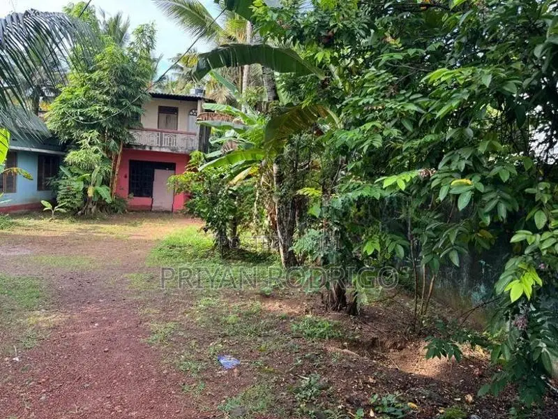 Nugegoda Wijerama 42 Perch Land with House for Sale