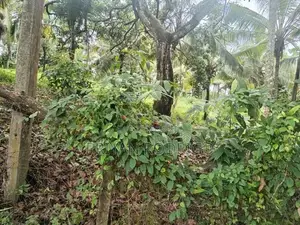 Malabe - Commercial 10,000 sq.ft Building with Land for Sale