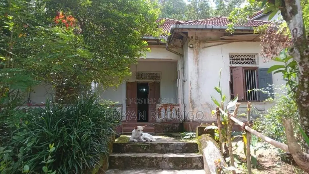Yatiyantota, 20.7 Perch Land with Old liveable House for Sale