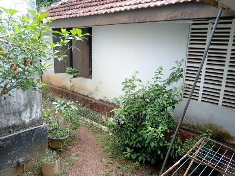 Nugegoda - Wijerama 15 Perches of Land with a Large Old House for Sale