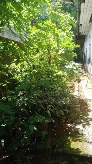 Yatiyantota, 20.7 Perch Land with Old liveable House for Sale